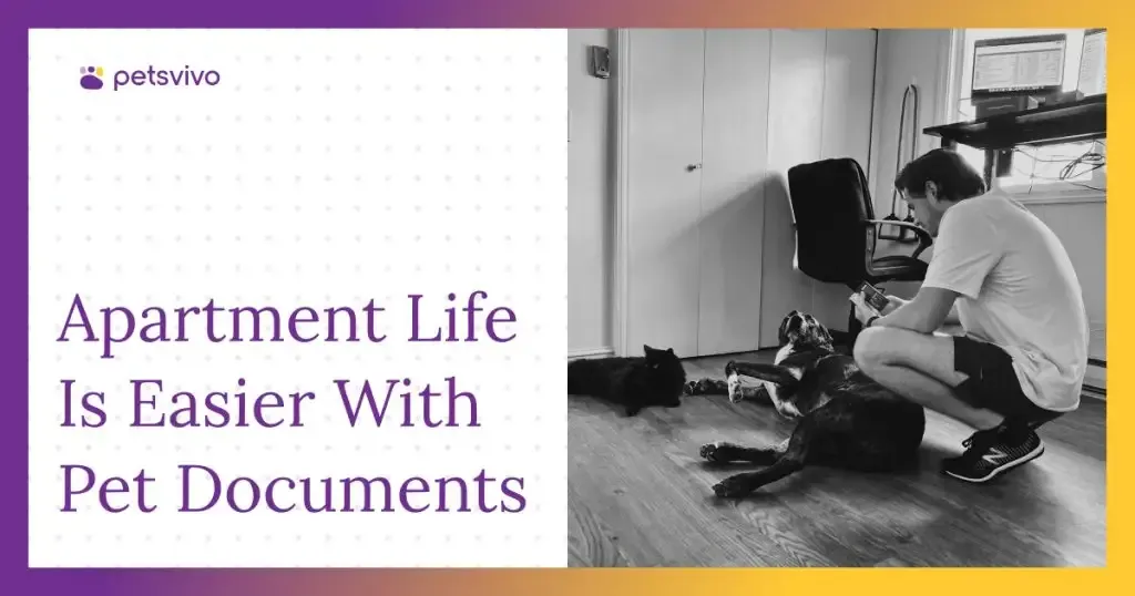 What Pet Documents Do You Need for Apartment Living?