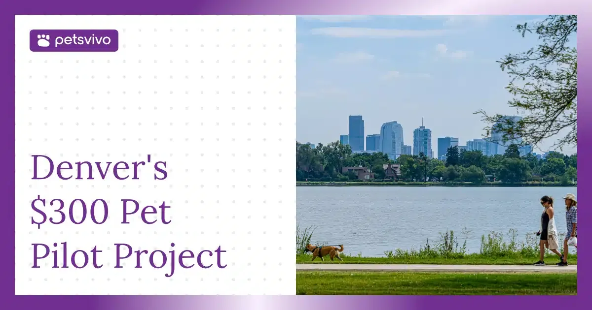 Woman walking her dog along a waterfront road representing the freedom pet inclusive housing policies give to renters and their pets.