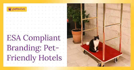 How ESA Compliance Affects Your Hotel's Pet-Friendly Brand
