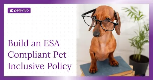 How to Build an ESA-Compliant Pet Inclusivity Policy for Your Property