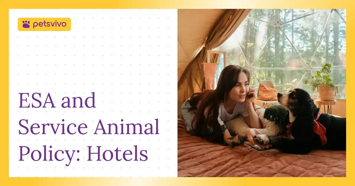 Why Pet-Friendly Hotels Need an ESA and Service Animal Policy