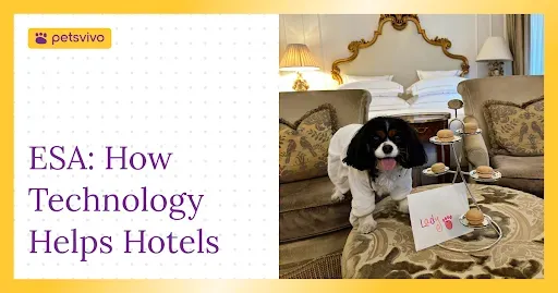 How Technology Helps Pet-Friendly Hotels Manage ESA Compliance