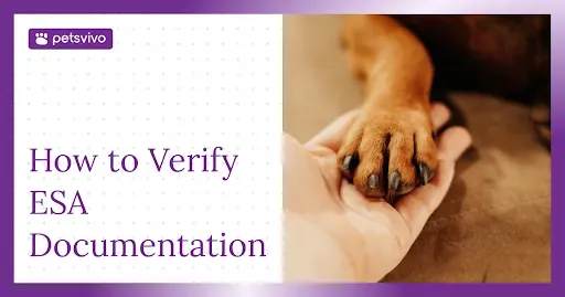 How to Verify ESA Documentation Without Violating Fair Housing Laws