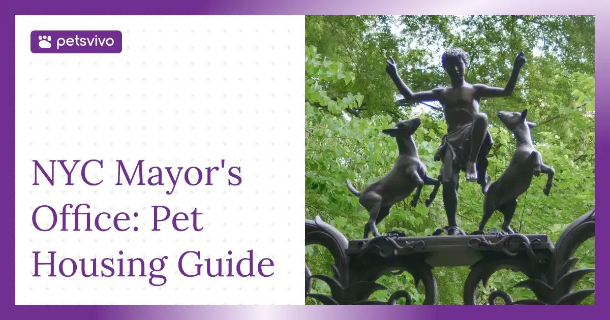 Bronze sculpture of a person walking two dogs in a city setting, representing pet-inclusive urban housing