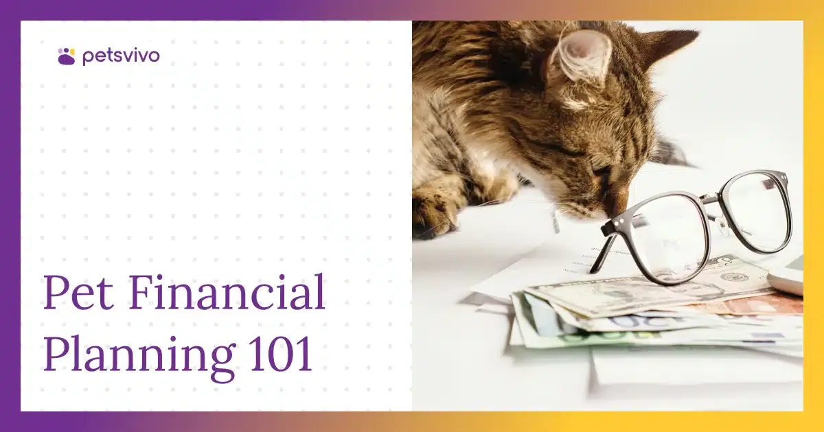 Pet Financial Planning 101: How to Budget for Your Pet in Apartment Living