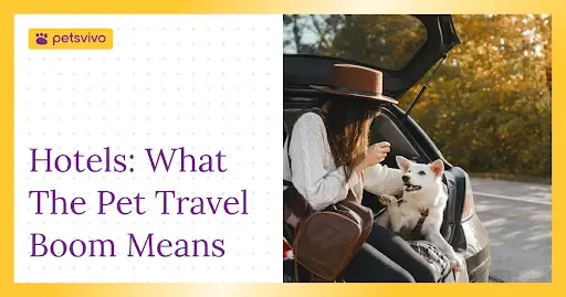 The Pawprint Economy: What the Pet Travel Boom Means for Hotels