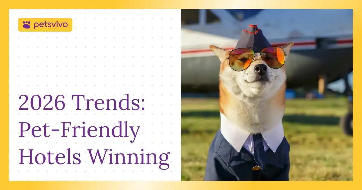 Why Pet-Friendly Hotels Are Winning Travelers in 2026
