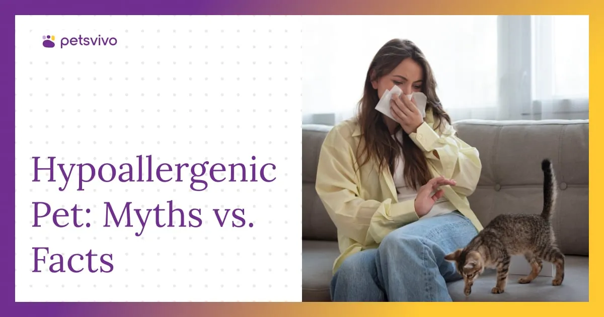 What Does Hypoallergenic Really Mean for Apartment Pet Owners?