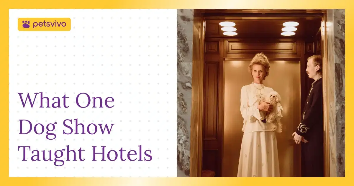 What the Westminster Dog Show Teaches Pet-Friendly Hotels About Loyalty